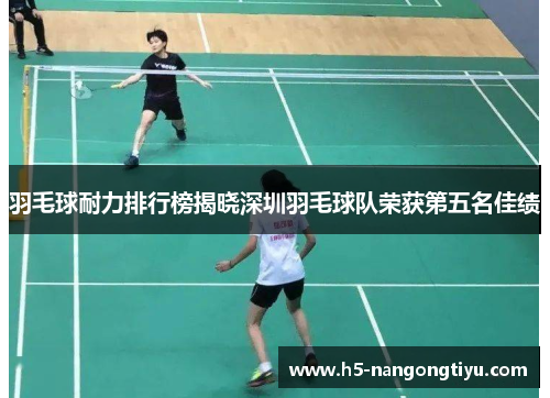 羽毛球耐力排行榜揭晓深圳羽毛球队荣获第五名佳绩